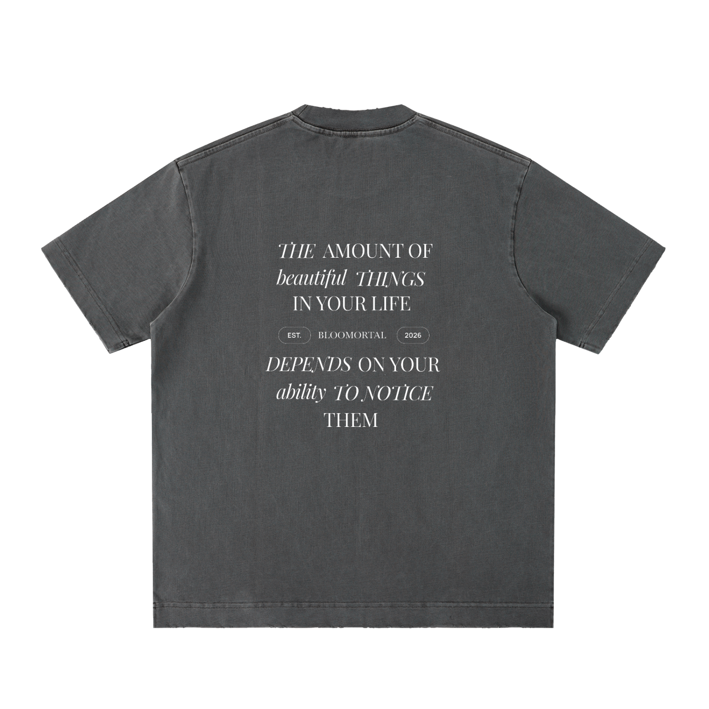 Beautiful Things Heavyweight Vintage Washed Frayed Unisex T-Shirt