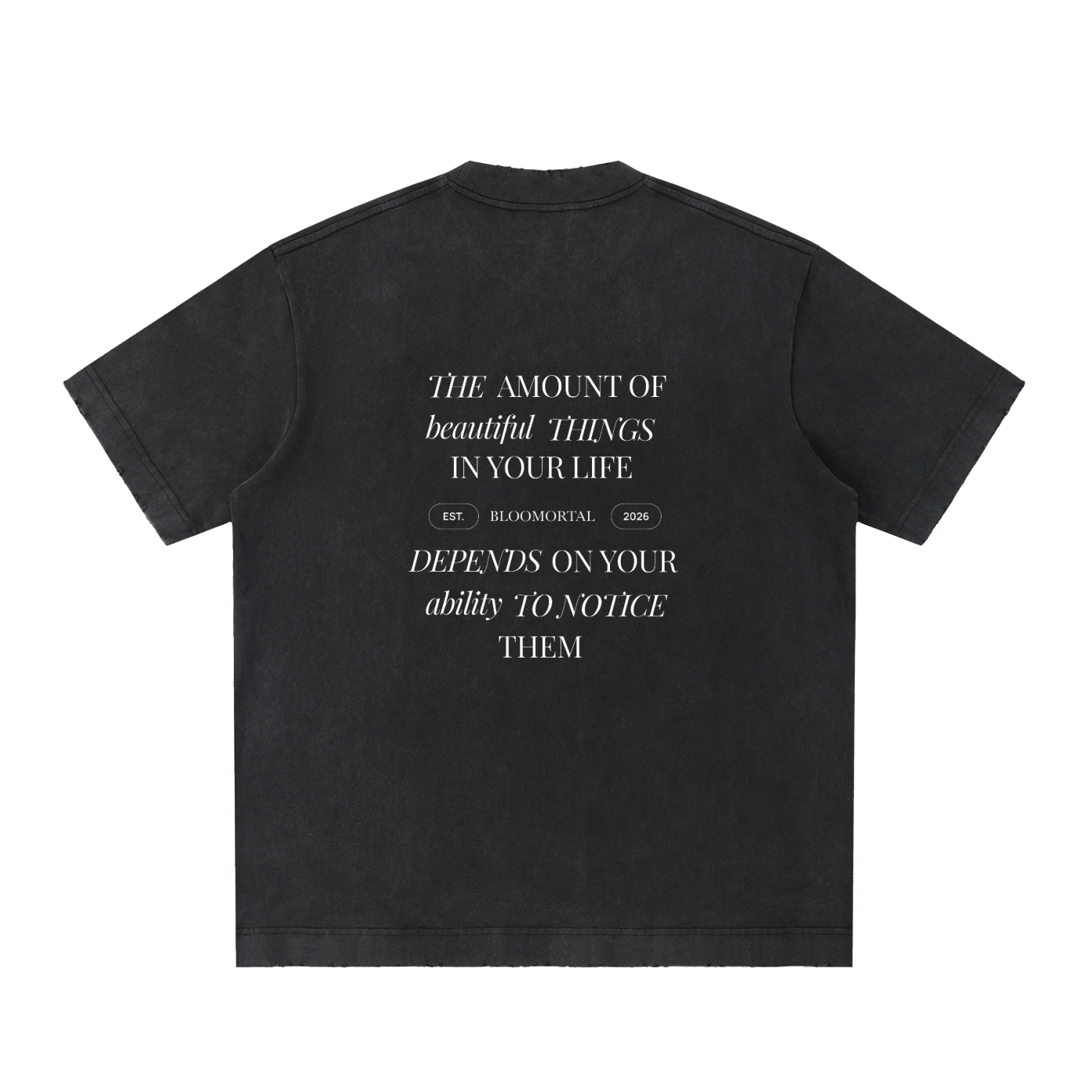 Beautiful Things Heavyweight Vintage Washed Frayed Unisex T-Shirt