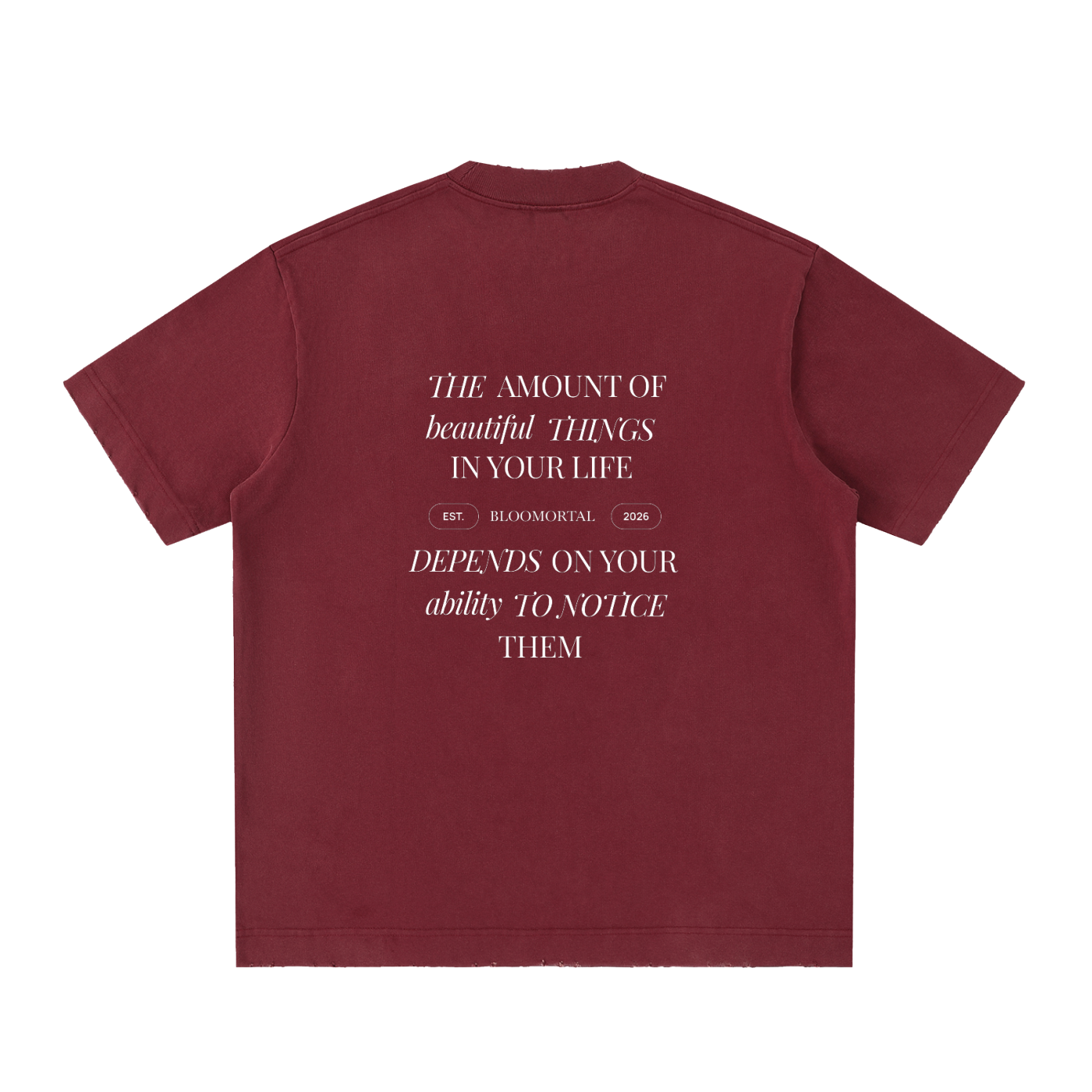 Beautiful Things Heavyweight Vintage Washed Frayed Unisex T-Shirt